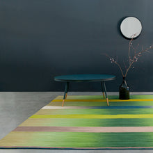 Green Spectrum Gelim – Flatweave Rug